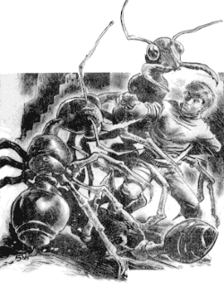 antatak1.gif